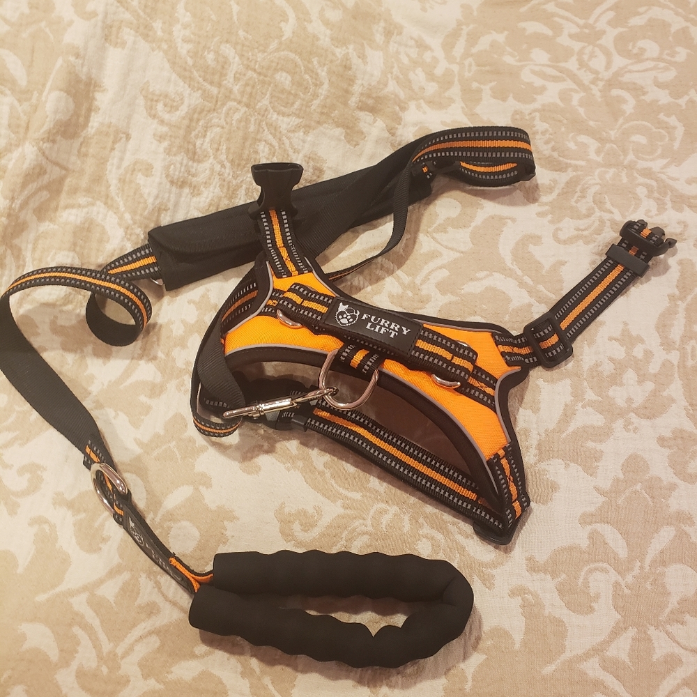 NWOT medium dog leash